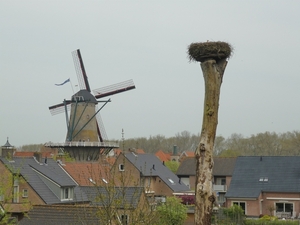 150502 SLUIS ooievaar met jong