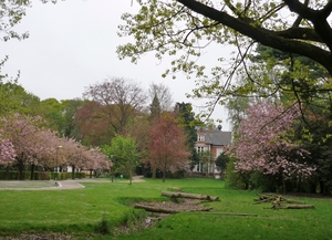 150503 EEKLO park