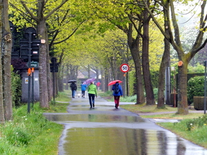 14-de laatste kms in de regen...