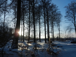DSCN7445