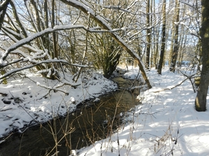 DSCN7460