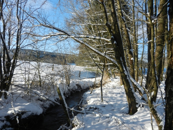 DSCN7461