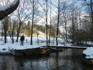 DSCN7482