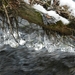 DSCN7485