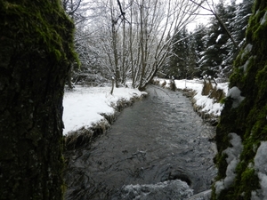 DSCN7487