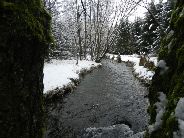 DSCN7487