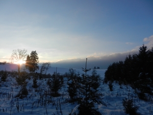 DSCN7492