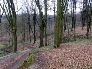 DSC07028