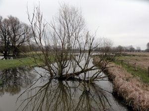 DSC07046