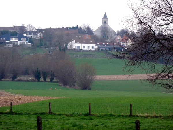 DSC07054