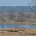 Klotteraar