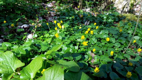 20150418_104700