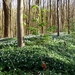 20150418_104743