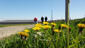 20150418_112054