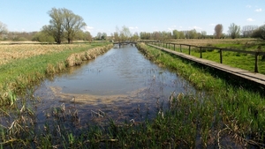 20150418_115928