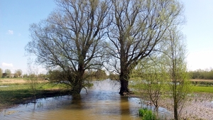 20150418_120320