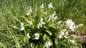 20150418_121242