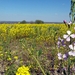 20150418_134451