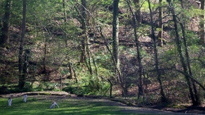 20150418_152846