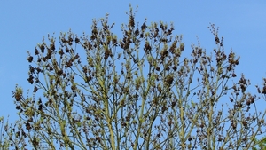 Es 10