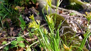 P1400806