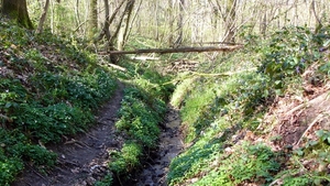 P1400812
