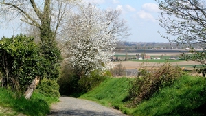 P1400836