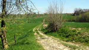 P1400853