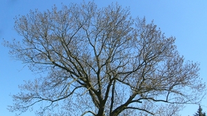 P1400871