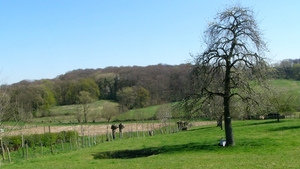 P1400872