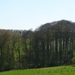 P1400873