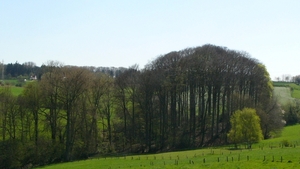 P1400873