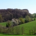 P1400874