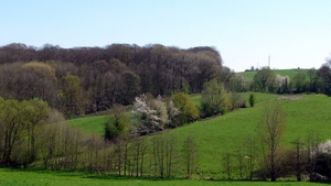 P1400874