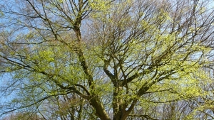 P1400877