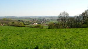 P1400884
