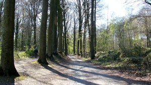P1400885