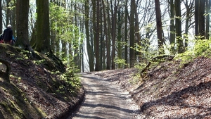 P1400886