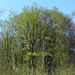 P1400890