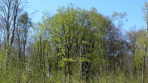 P1400890