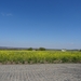 DSC03905