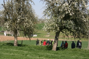 IMG_0176