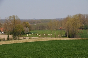 DSC_9590