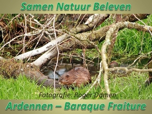 Samen Natuur Beleven