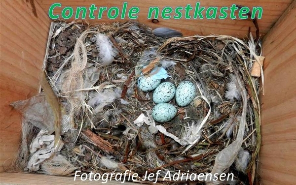 2015-04-26 Controle nestkasten