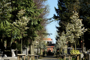 Roeselare-Oud Kerkhof-Blekerijstraat