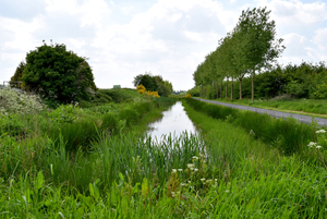 De Stroroute-Roeselare-Zonnebeke-2015