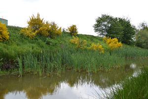 De Stroroute-Roeselare-Zonnebeke-2015