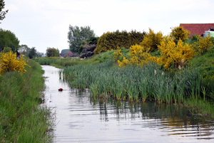 De Stroroute-Roeselare-Zonnebeke-2015