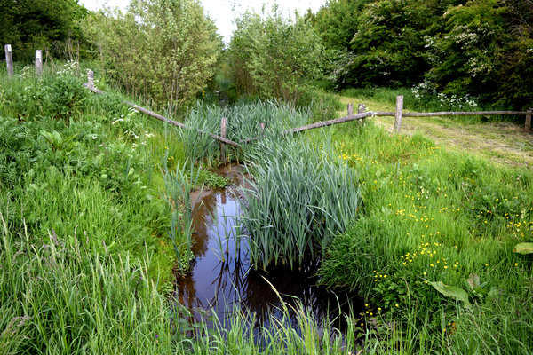 De Stroroute-Roeselare-Zonnebeke-2015